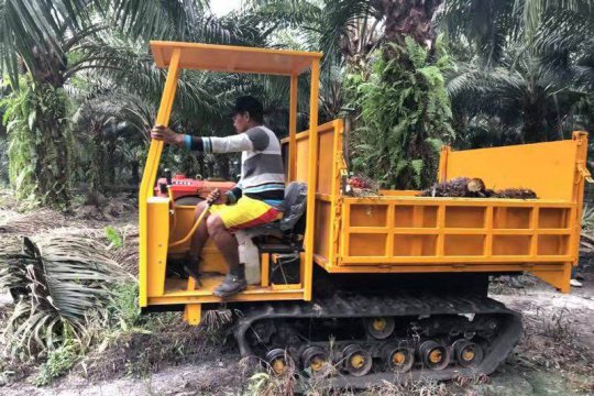 HW Crawler Dump Truck Indonesia Palm Garden Work Site